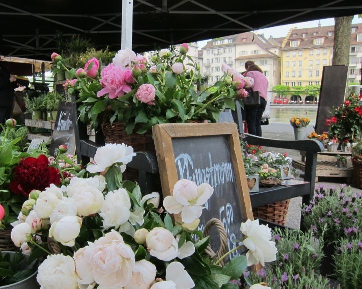 Auch Blumen gibt es am Wochenmarkt in Luzern in Hülle und Fülle.